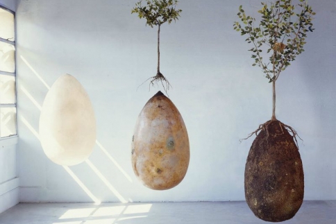 Capsula Mundi: Όταν πεθάνω θα γίνω δέντρο