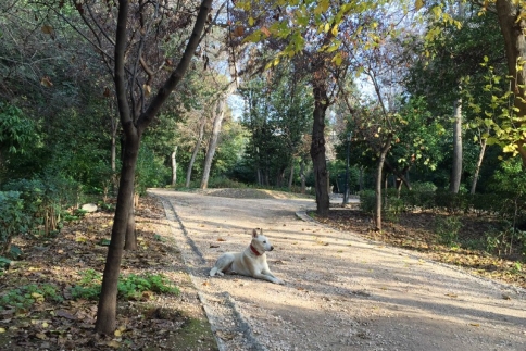 Απόδραση στον Εθνικό Κήπο! Δεν φαντάζεσαι τι μυστικά κρύβει