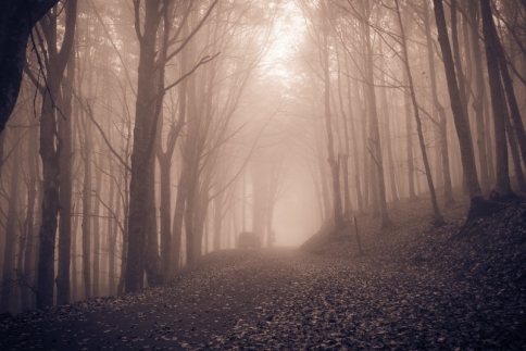 Παρασκευή και 13: Tα πιο spooky μέρη του κόσμου και η ιστορία τους