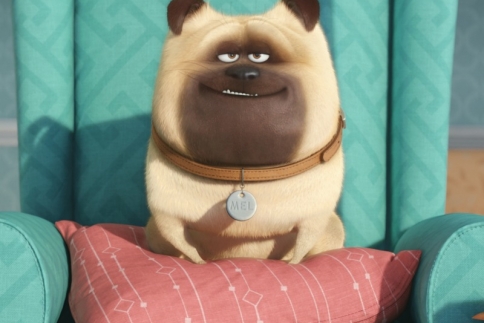 The Secret Life Of Pets: Το animation που θα σε συναρπάσει (trailer)