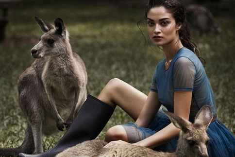Shanina Shaik: Σώζει κοάλα και καγκουρό! Topless…