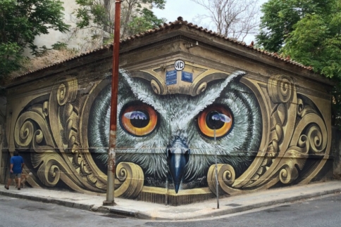 Wild Drawing: Γιατί η κουκουβάγια του Μεταξουργείου έγινε παγκόσμιο viral