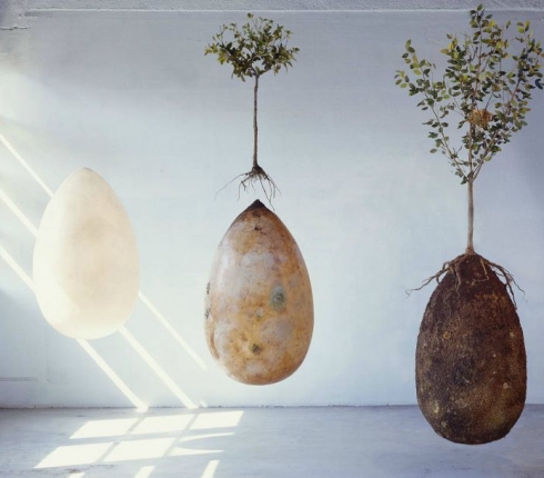 Capsula Mundi: Όταν πεθάνω θα γίνω δέντρο
