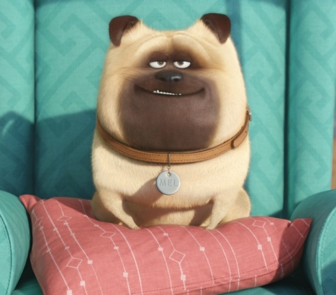 The Secret Life Of Pets: Το animation που θα σε συναρπάσει (trailer)