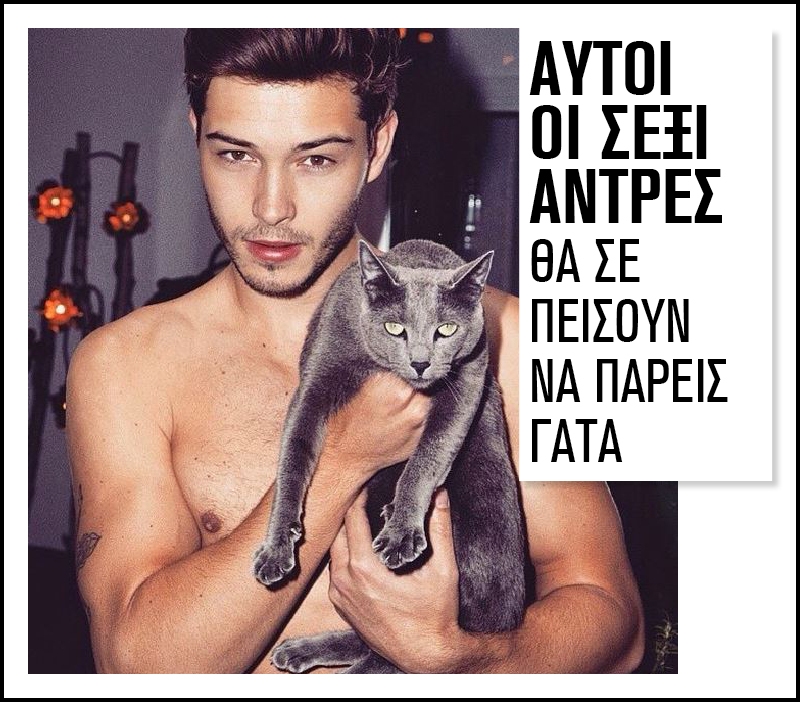 Αυτοί οι σέξι άντρες θα σε πείσουν να πάρεις γάτα Αυτοί οι σέξι άντρες θα σε πείσουν να πάρεις γάτα