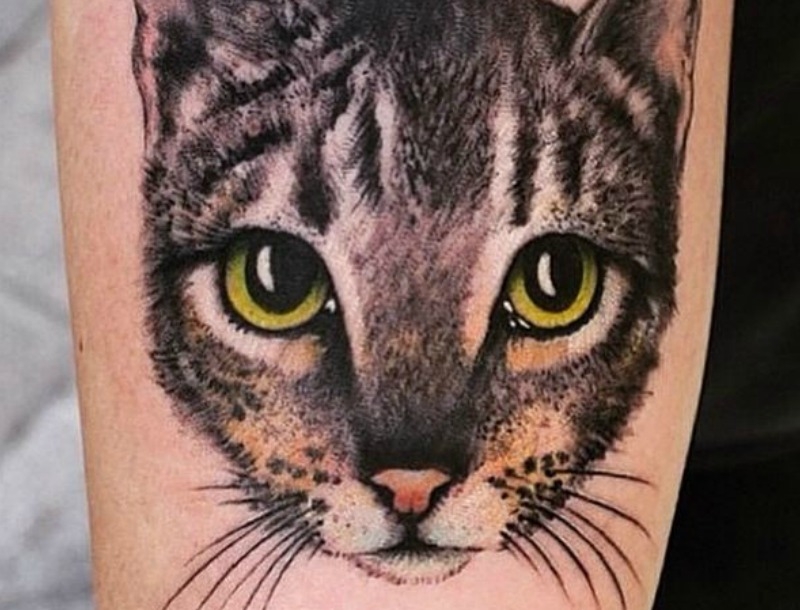 Είσαι κρυφά μια crazy cat lady; Τότε θα λατρέψεις αυτά τα τατουάζ Είσαι κρυφά μια crazy cat lady; Τότε θα λατρέψεις αυτά τα τατουάζ