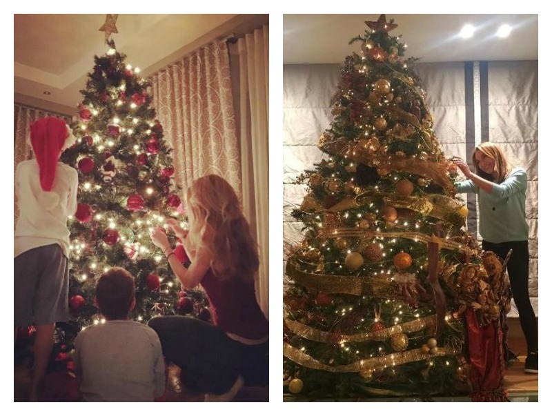 Instagram: Δείξε μου το δέντρο σου να σου πω ποιος είσαι! Instagram: Δείξε μου το δέντρο σου να σου πω ποιος είσαι!