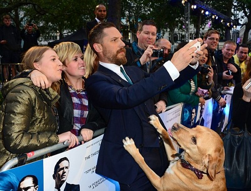 Tom Hardy : Πήγε στην πρεμιέρα της νέας του ταινίας με τον σκύλο του! Tom Hardy : Πήγε στην πρεμιέρα της νέας του ταινίας με τον σκύλο του!