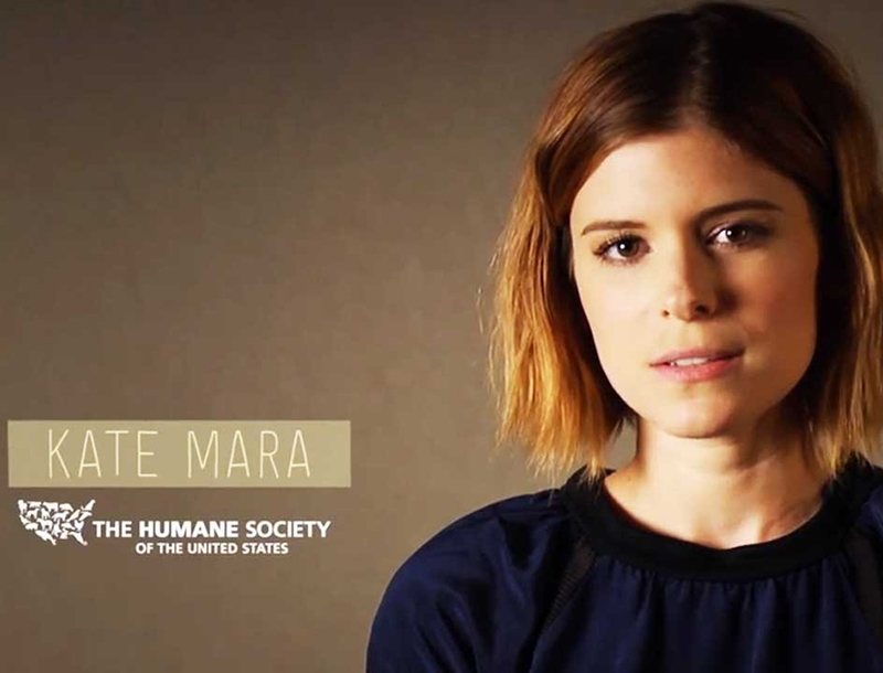 Kate Mara: Να γιατί δεν θέλει να τρως κρέας τις Δευτέρες Kate Mara: Να γιατί δεν θέλει να τρως κρέας τις Δευτέρες