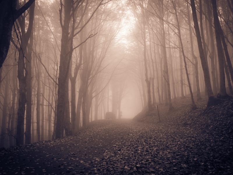 Παρασκευή και 13: Tα πιο spooky μέρη του κόσμου και η ιστορία τους Παρασκευή και 13: Tα πιο spooky μέρη του κόσμου και η ιστορία τους