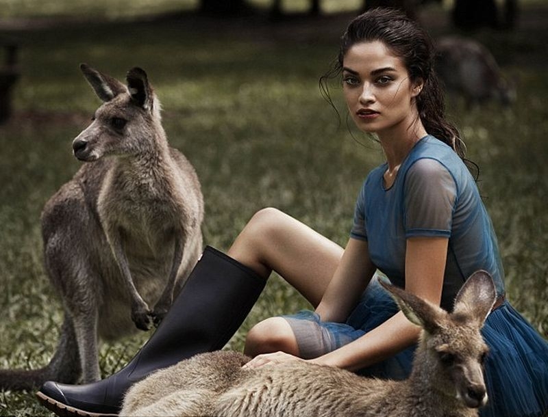 Shanina Shaik: Σώζει κοάλα και καγκουρό! Topless… Shanina Shaik: Σώζει κοάλα και καγκουρό! Topless…