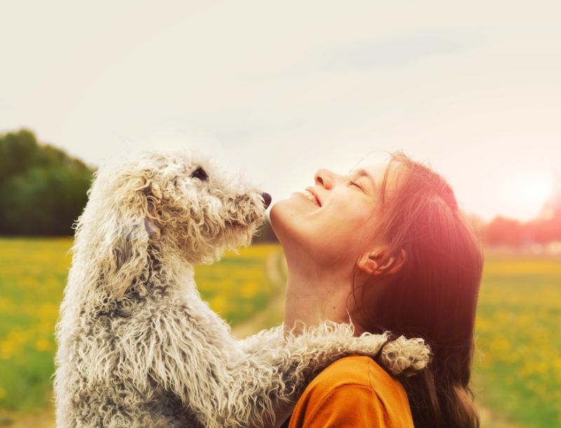 Αυτές είναι οι πιο dog friendly πόλεις στον κόσμο Αυτές είναι οι πιο dog friendly πόλεις στον κόσμο