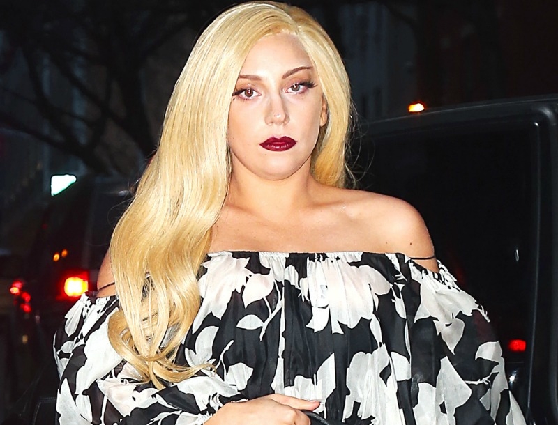 Η Lady Gaga υπογράφει την καμπάνια της Shiseido για το 2015 Η Lady Gaga υπογράφει την καμπάνια της Shiseido για το 2015