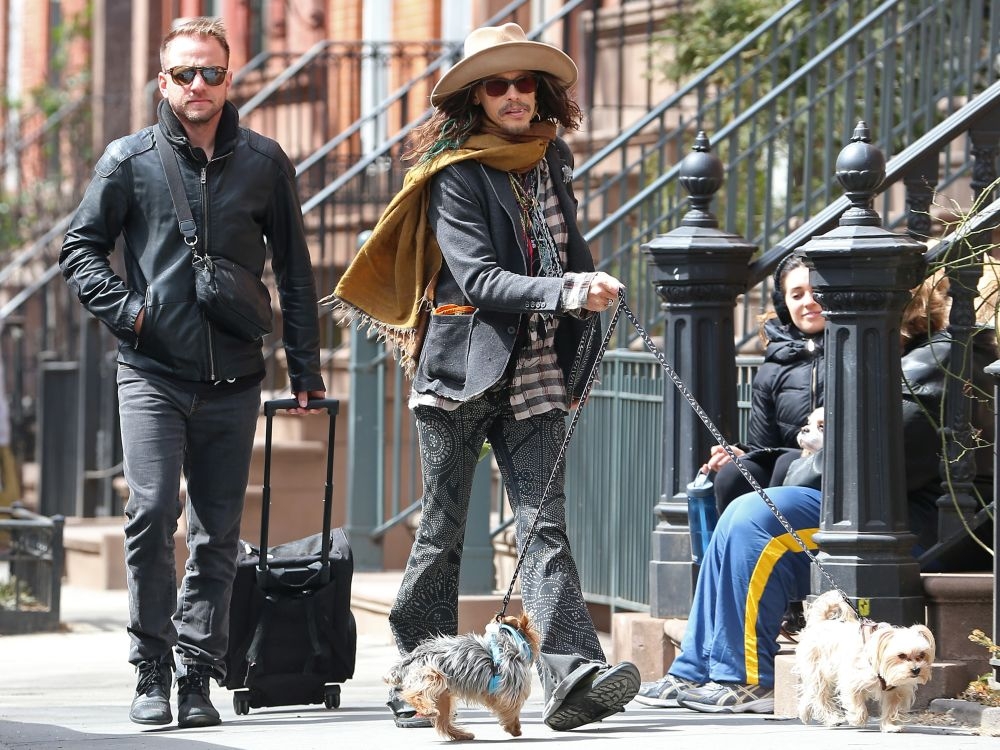Steven Tyler: Η εκκεντρική του βόλτα με τα σκυλάκια του Steven Tyler: Η εκκεντρική του βόλτα με τα σκυλάκια του